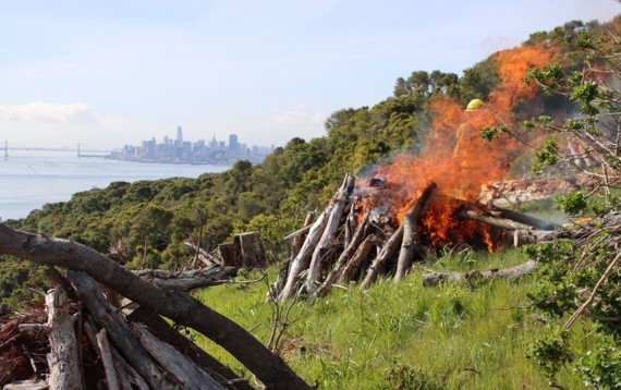 Pile burns at Angel Island State Park in April 2023.